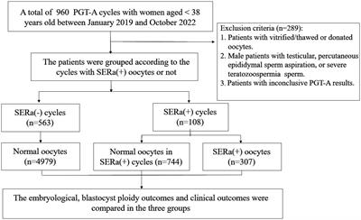 Blastocysts originated from oocytes with smooth endoplasmic reticulum aggregates have a reduced euploidy rate: a retrospective cohort study